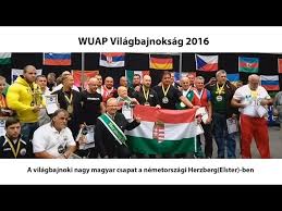 A magyar csapat